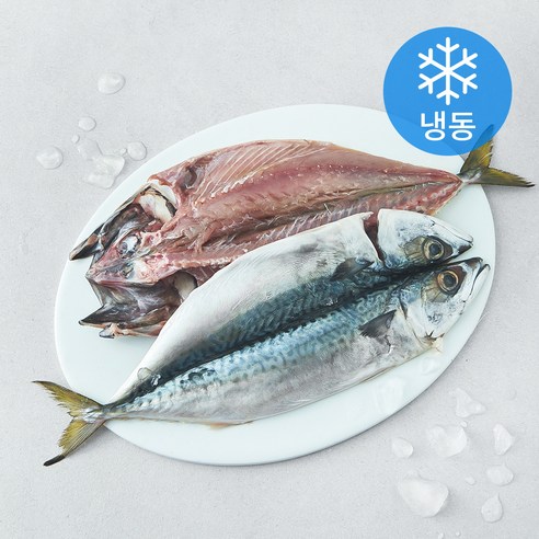 [로켓프레시] 중매인신훈식 맑은소금 제주 자반고등어 특대 (냉동), 1개, 700g(2미)