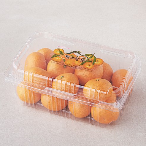 [로켓프레시] 탐라황감 당도선별 10brix 하우스감귤, 1.5kg(로열과), 1개