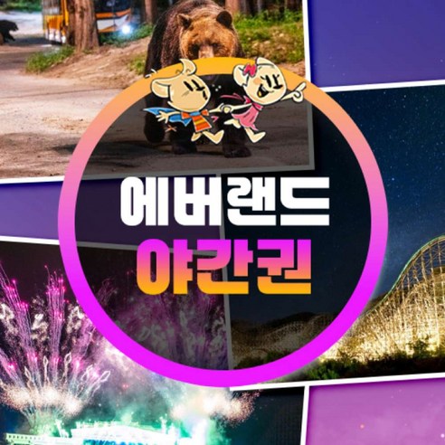 [용인] ★골드박스★ 에버랜드 야간이용권