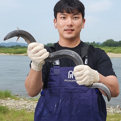 산지직송 고창 자포니카 풍천 장어, 2세트, 650g