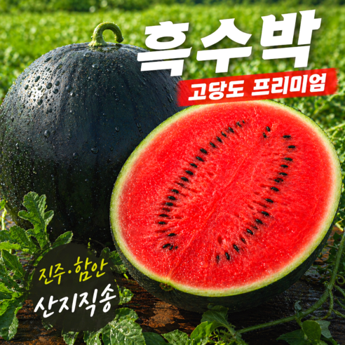 온미엘 진주 함안 고당도 프리미엄 흑수박, 1개, 3~4kg