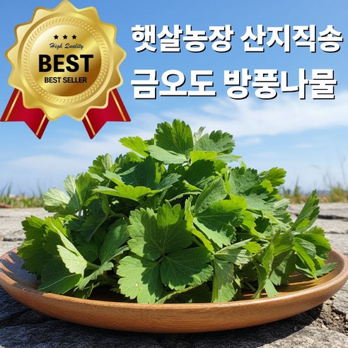 여수 금오도 방풍나물 산지직송 봄나물 국내산, 1박스, 3kg