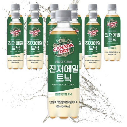 캐나다드라이 진저에일 토닉 450ml 홈파티, 450ml, 12개