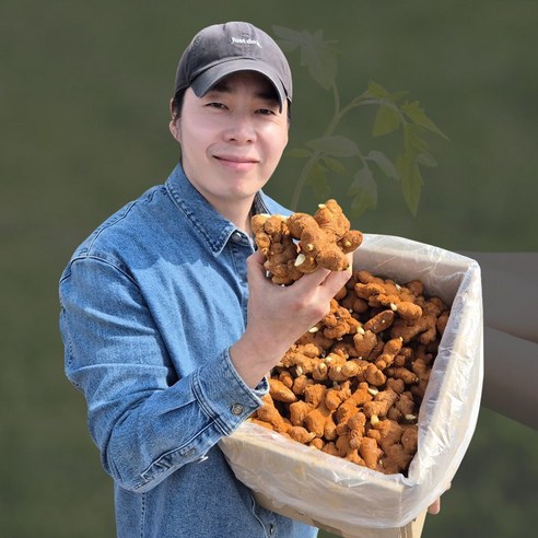봉동 황토바른 개량종/생강종자 10kg