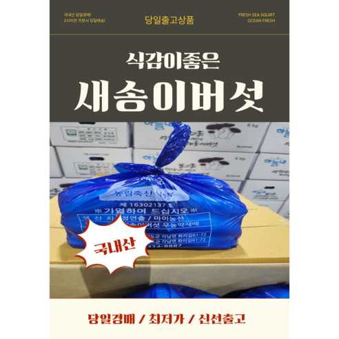 국내산 새송이버섯 2kg / 신선채소 / 구이용 찌개용, 1개, 콩알2번 2kg