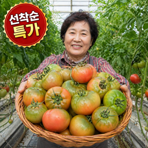 [선착순특가] 하루100박스만 단짠 부산 대저토마토