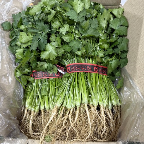 농진사 고수 향신료 국내산 특 업소 가정, 2kg, 1개