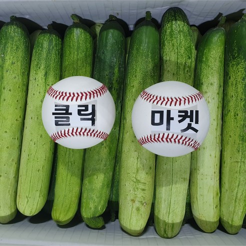 클릭마켓 백 다다기 오이 오이지 10kg, 10kg 백오이, 1개