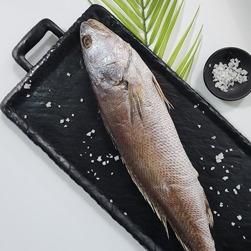 반건조 손질 생선 민어 국산참민어  반건조참민어 여수참민어 제수용민어 통민어