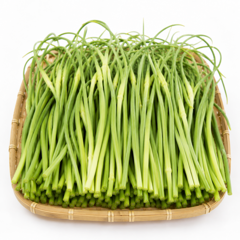 [하루딱100박스] 특가세일 신선아삭 국산 햇 마늘쫑, 1박스, 10kg