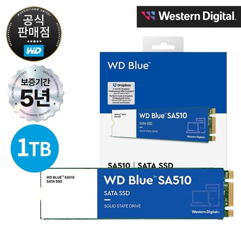 [공식판매점] WD BLUE SA510 M.2 SATA SSD