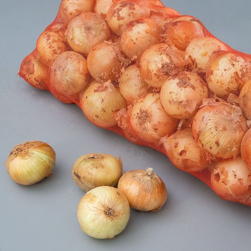 [품질보장]세상모든농부 26년 햇양파 신선한 국내산 양파, 1개, 5kg(특대)