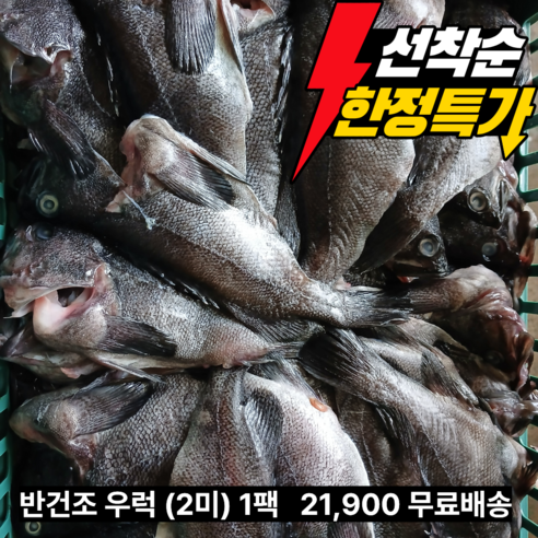 국내산 실내건조 반건조우럭2미, 2개, 2미 500g 내외