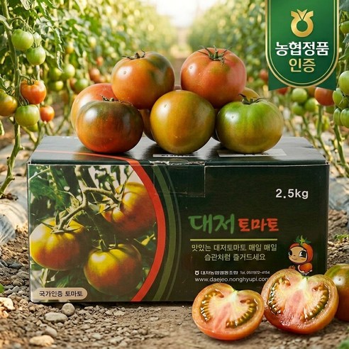 [올해마지막물량] 산지직송 대저 짭짤이 토마토