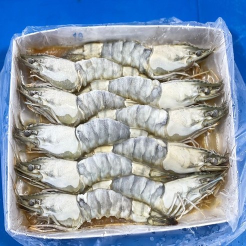 모조나인 블랙타이거 몸통 껍질벗긴 새우 10미, 1개, 10미