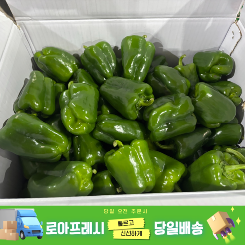 [로아프레시] 당일경매 당일발송 신선한 국산 못난이피망 청피망