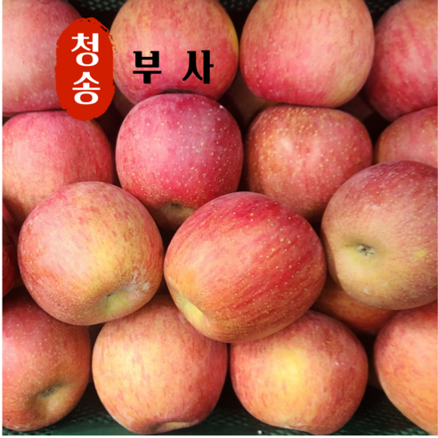 사과 당도선별 청송사과 고산지 부사사과, 1박스, 5kg (가정용)