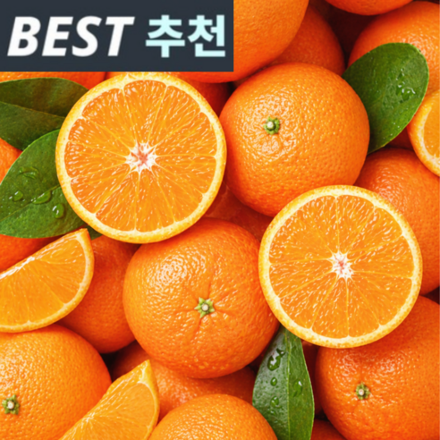 농장직배송 제주 카라향 고당도 신선보장