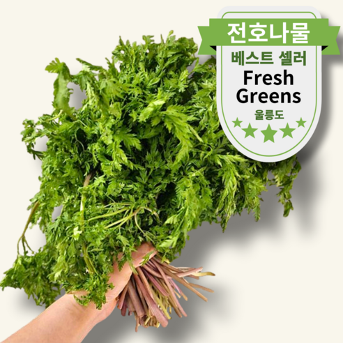 산지직송 싱싱한 전호나물 건강한 자연선물 나물