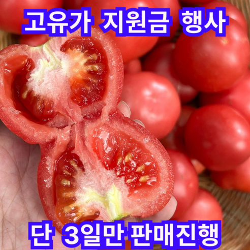 [고유가지원금]단3일만 농장갓딴 달달새콤 못난이 완숙토마토, 1박스, 5kg