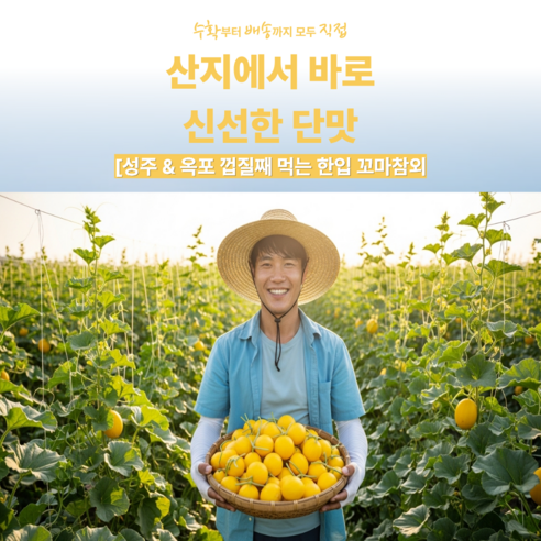 [성주 & 옥포] 껍질째 먹는 한입 꼬마 참외