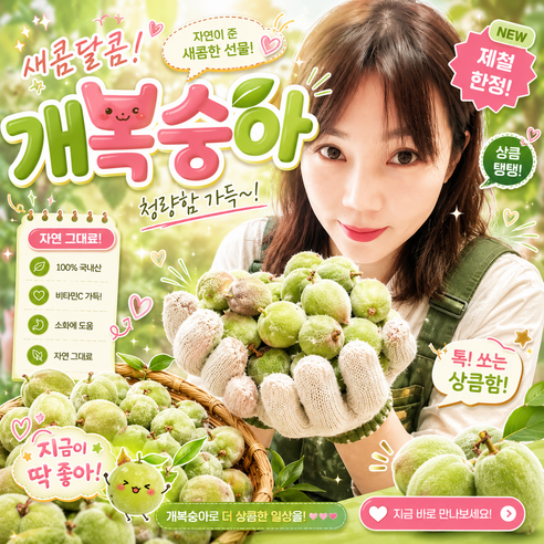 자연산 야생 개복숭아 돌복숭아 효소 개복숭아