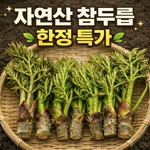 [더밭 한정특가] 자연산 참두릅 산지직송 제철 생두릅 당일수확, 1세트, 300g