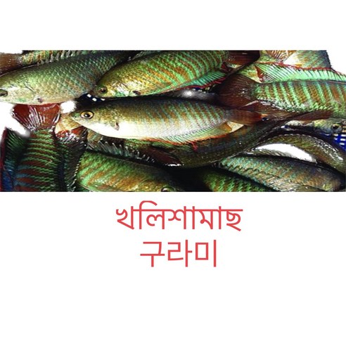 S.N. FOOD FROZEN KHOLISHA(냉동구라미)방글라데시/베트남 생선500G