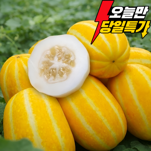[산지직송] 성주참외 재구매1위 제철과일 꿀뚝뚝 당도보장, 1박스, 3kg (가정용 로얄과)