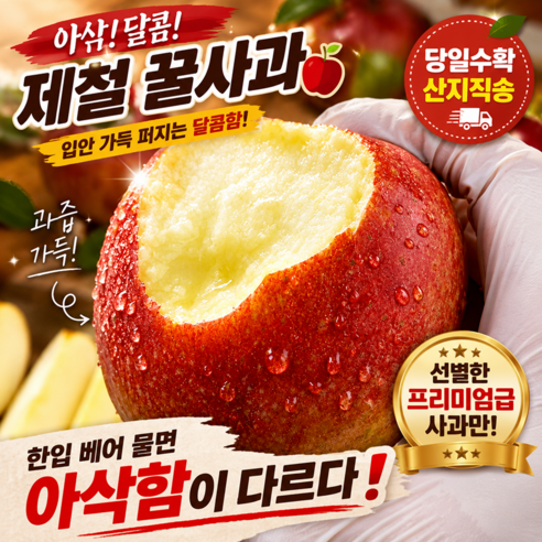 [하루특가] 고당도 초가성비 신선 부사 사과, 1박스, 2kg