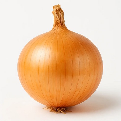 달큰하고 시원한 국내산 햇 양파, 1개, 10kg 대