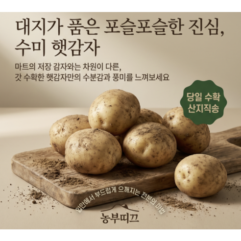 산지에서 바로 보내는 신선함, 포슬포슬 26년 햇 수미감자
