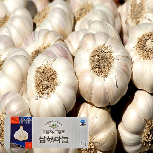 남해군 농협조공 햇 마늘 특등급 국산 남도마늘 통마늘 제철 채소 저장용 김장 요리 장아찌
