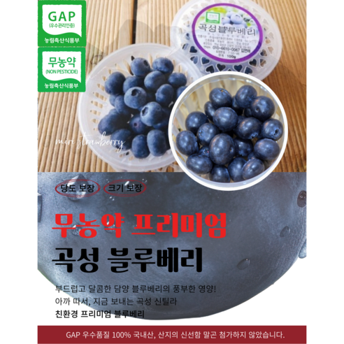 무농약곡성 국산 곡성블루베리 생과