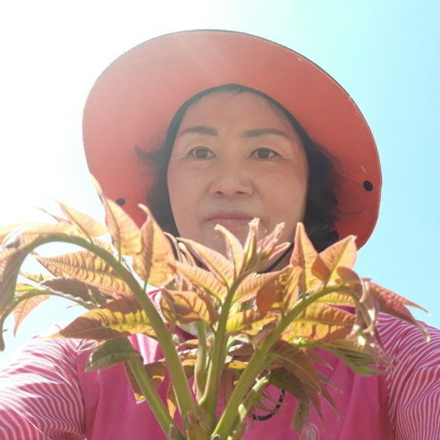 [긴급공수] 충남부여 친환경 유기농 가죽나물