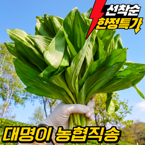 [일일한정 초특가] 울릉도종 명이나물 대명이 강원도 산지직송 산나물