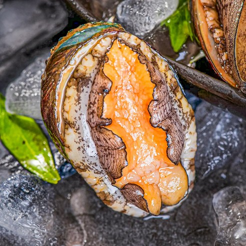 백화점 납품용 완도 활전복 선물세트 산지직송, 1세트, 프리미엄 1kg (6~7미)+고급가방 포장