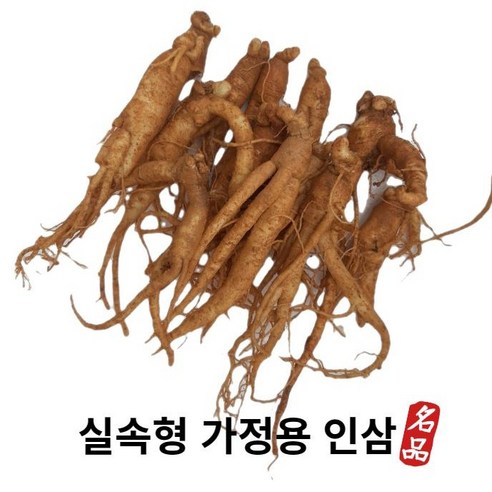 인삼 못난이 실속형 가정용인삼 세척인삼 못난이인삼