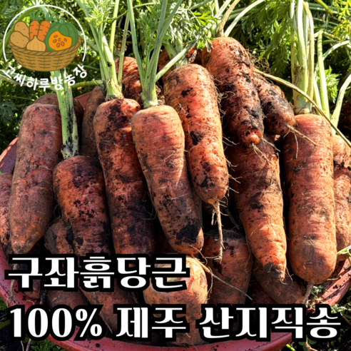 [고씨하루방농장] 제주명품 햇당근 구좌흙당근, 1박스, 10kg (특)