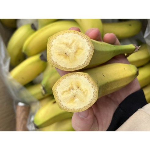 고당도 낱발 못난이 바나나, 1개, 13kg