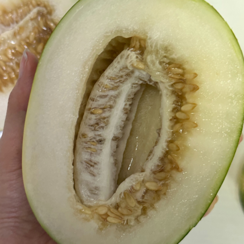 굿피플 못난이파파야메론 개구리참외 메론 멜론, 1박스, 못난이 파파야메론 4kg 랜덤과