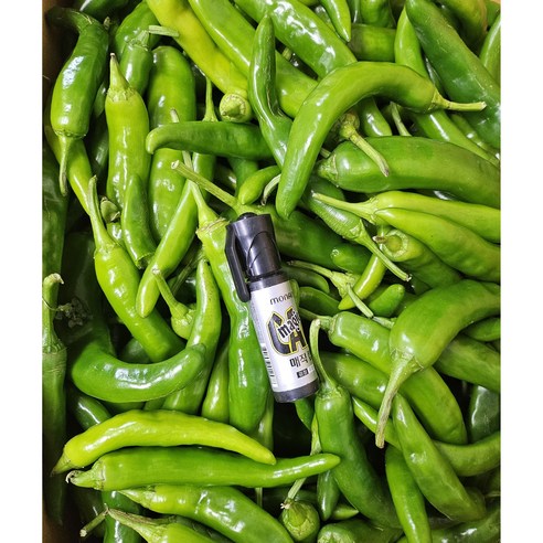 실속형오이고추(아삭이고추)꼬부리, 1개, 2kg