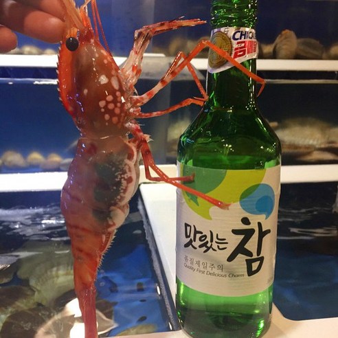 활 독도새우 도화새우