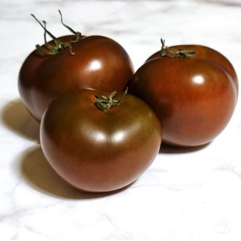 새벽청과 흑토마토 쿠마토 2kg