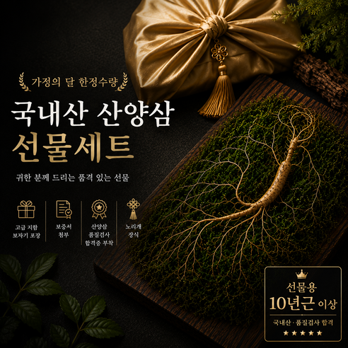 농부띠끄 가정의달 선물세트 산양산삼 10년근, 강원도 산양산삼 장뇌삼 수삼 인삼 한방재료