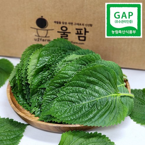 국내산 울팜 GAP 깻잎 찹찹이깻잎 쌈채소, 1개, 500g