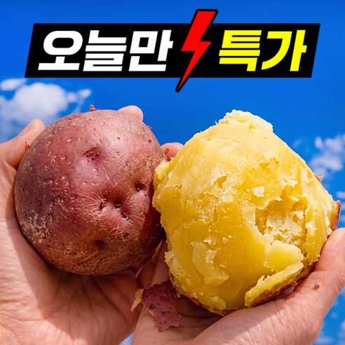 [100박스한정특가] 포슬포슬 햇 감자 홍감자