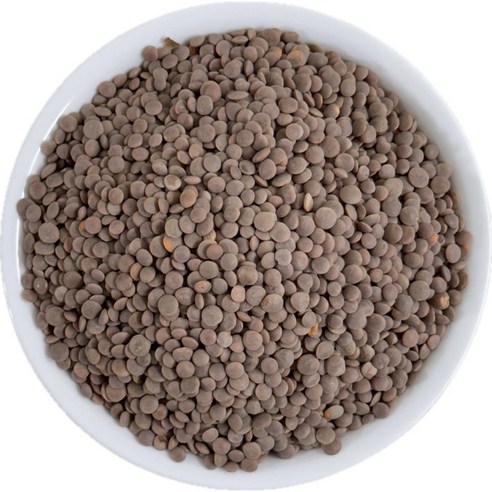 영원농산 25년산 캐나다산 수입 렌틸콩 렌즈콩, 1개, 1kg