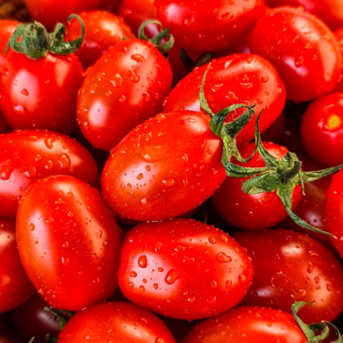 루트팜 국내산 방울토마토 랜덤과