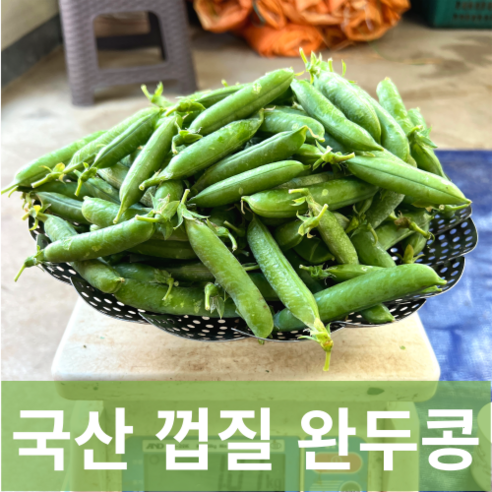 [돌산총각] 산지직송 노지 여수 껍질 완두콩